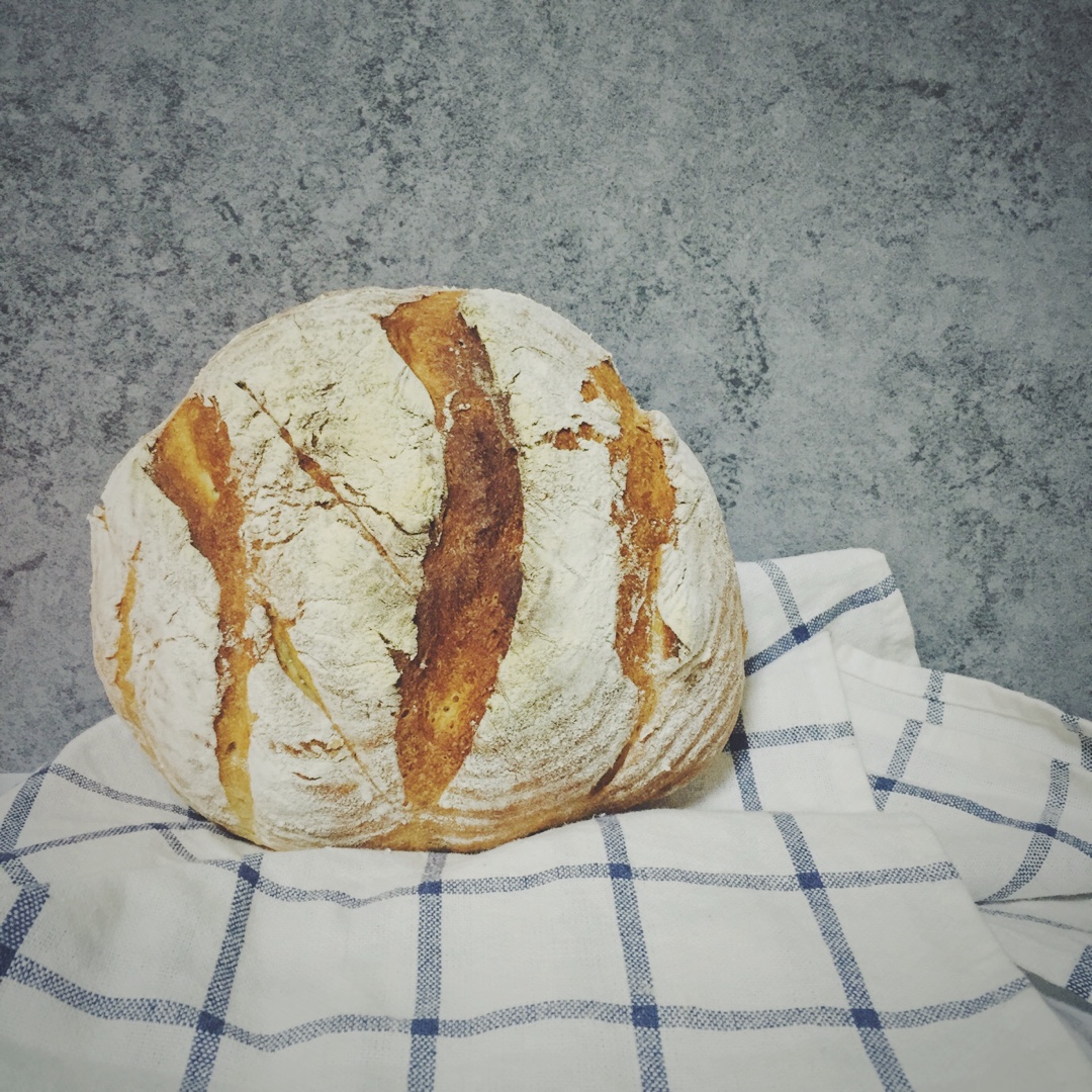 无花果面包（天然酵母&新鲜酵母）