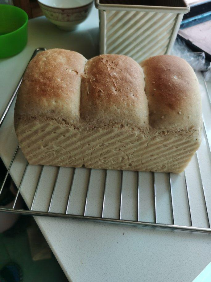 双种芝麻全麦吐司 100%全麦 烫种+波兰种