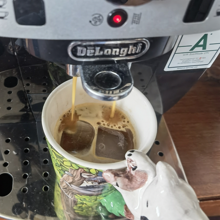 青椰咖啡的做法