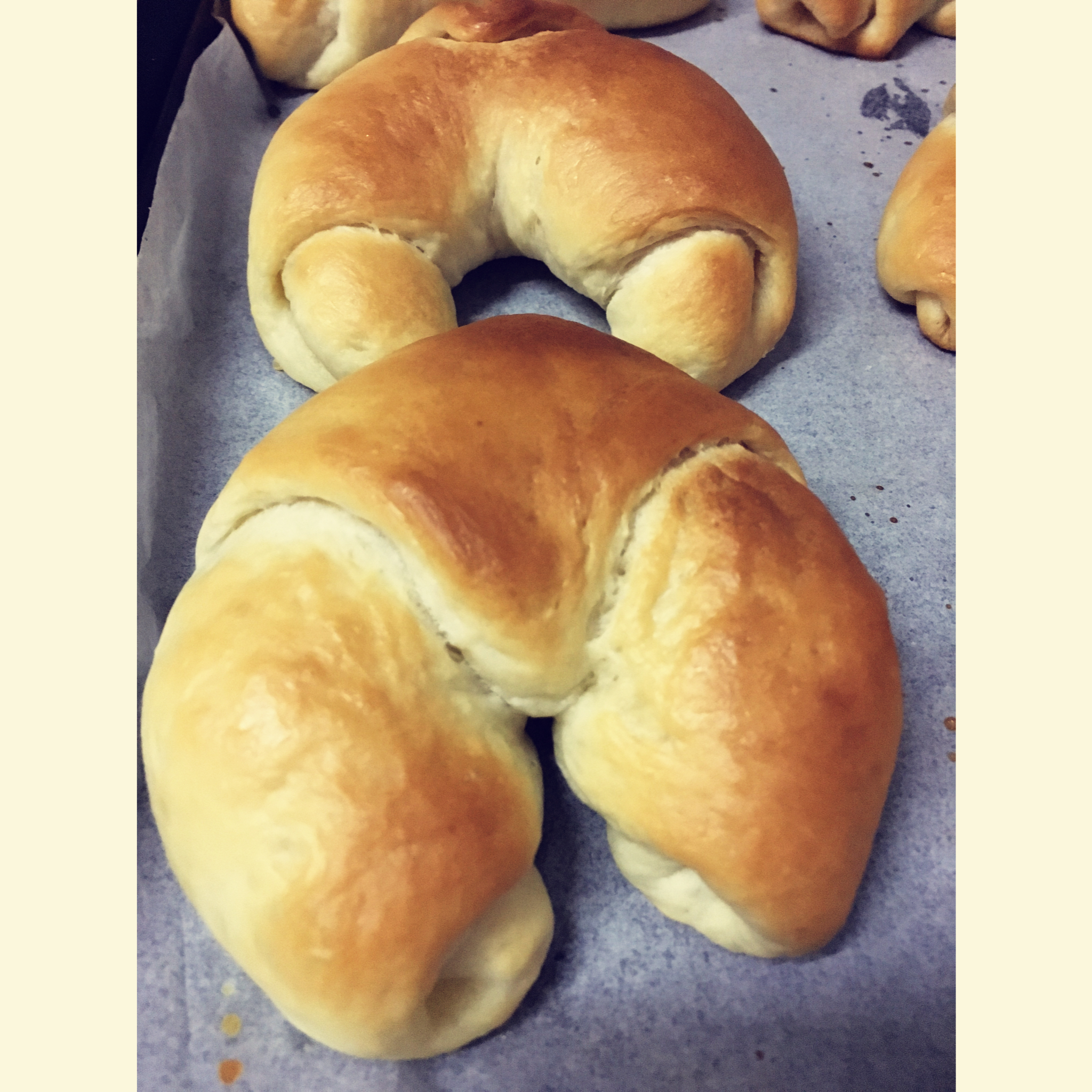 零失败盐面包（低油低糖，慢熟成，有机版）牛奶鸡蛋过敏者推荐使用