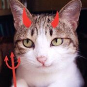 鸡汁少女的训练日记