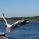 手机用户5479_1dcy