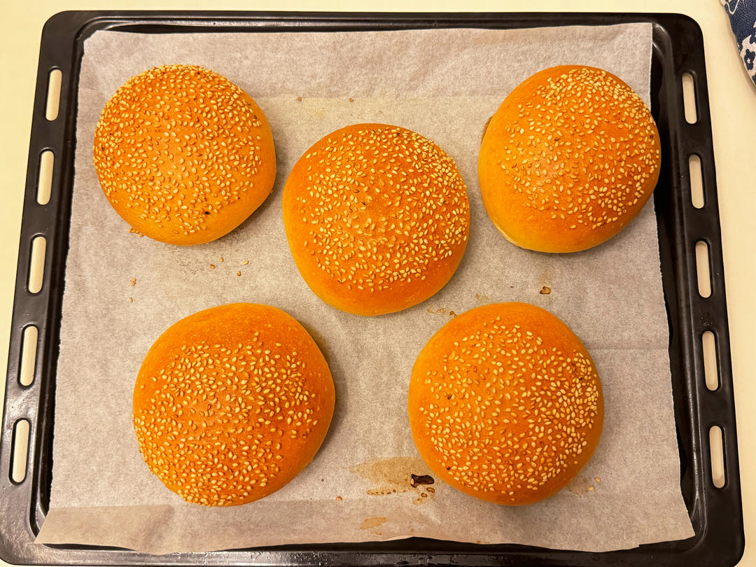 100%成功的汉堡胚