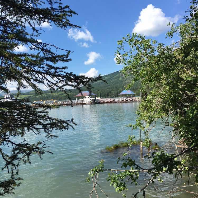 碧海青天手机用户1555_9kzs