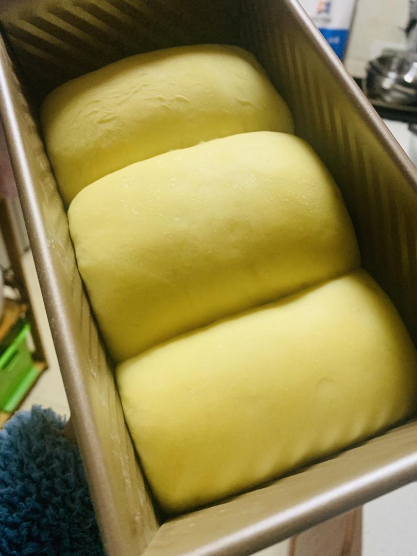 用烤箱自己做面包--手工牛奶吐司面包