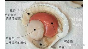 清蒸扇贝的做法 步骤2