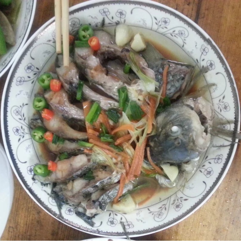 孔雀开屏鱼