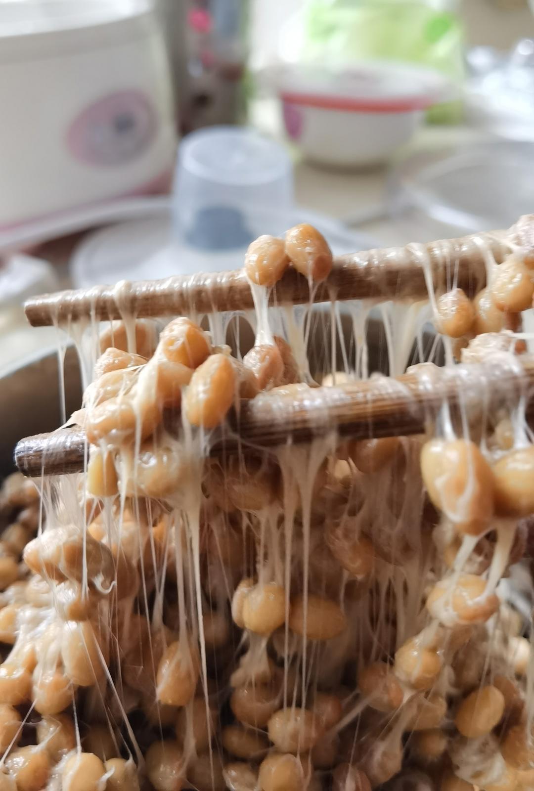 自制纳豆（酸奶机，面包机，烤箱版）