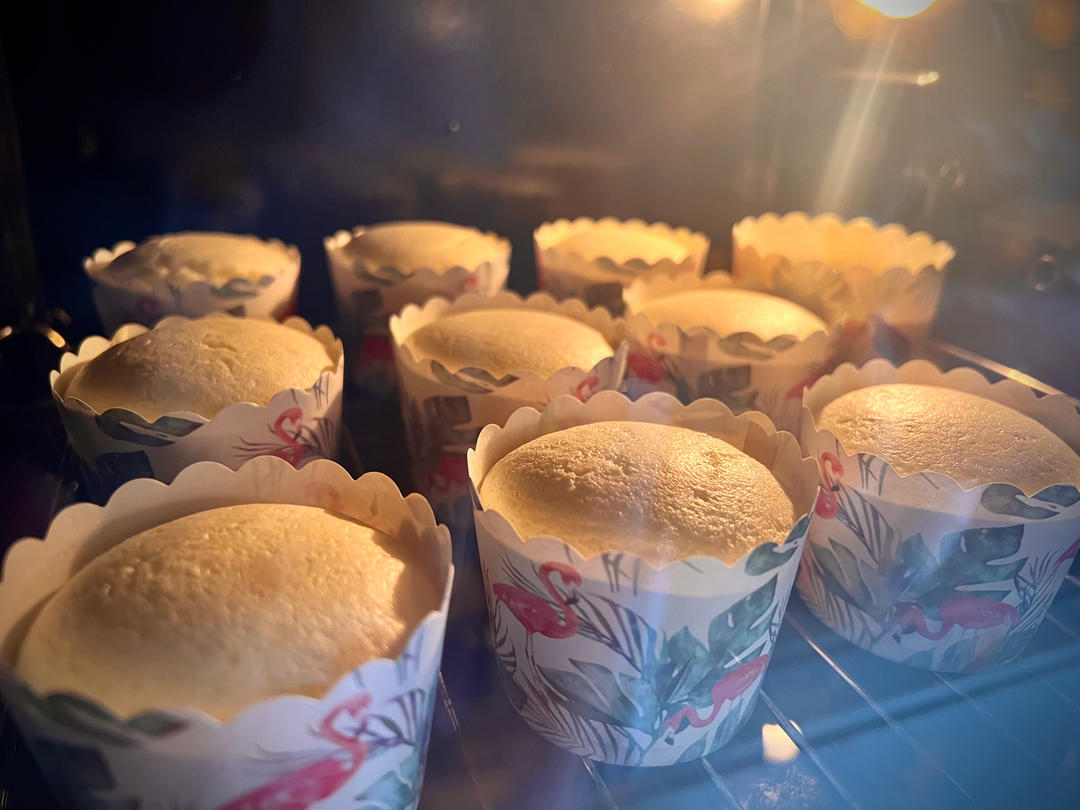 轻乳酪蛋糕（瑞可爷爷同款）网红轻乳酪