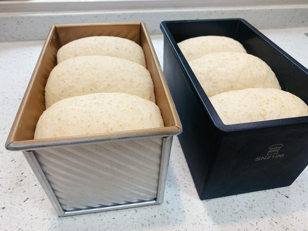 波兰种全麦吐司（40%全麦）
