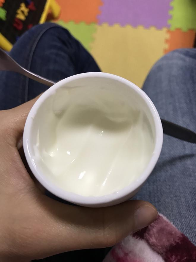 法式手工酸奶的做法