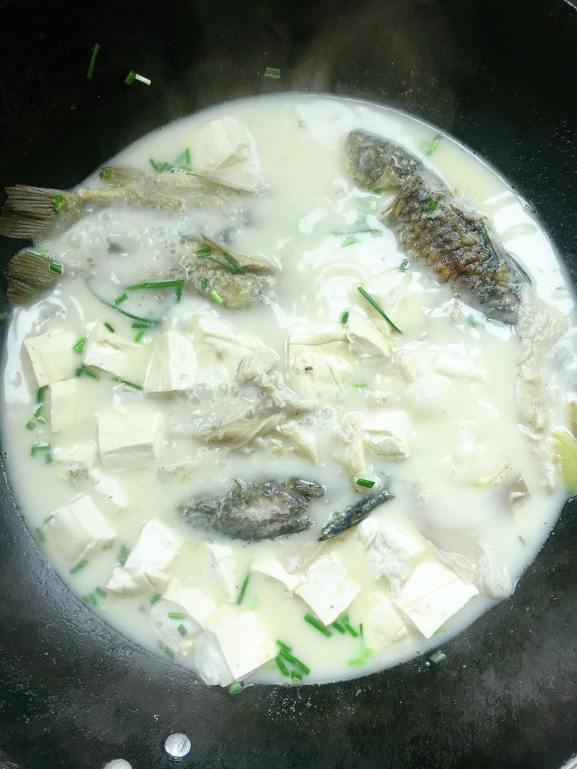 奶白鲫鱼豆腐汤|一条鱼最后的温柔