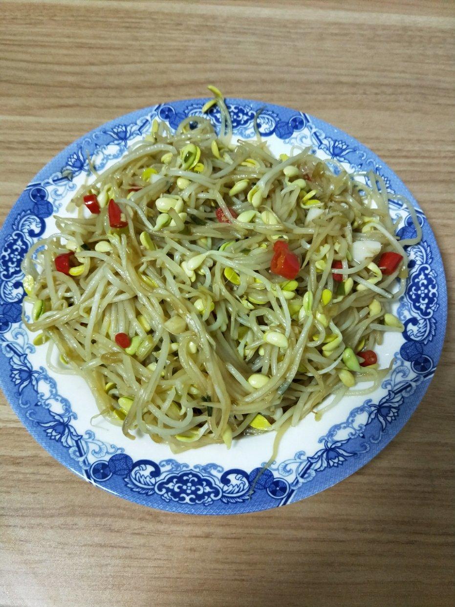 素炒豆芽（东北版）
