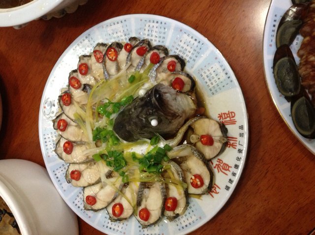 孔雀开屏鱼