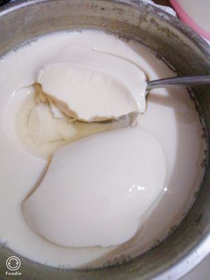 容易成功版的破壁机黑豆豆浆酸奶的做法 步骤12