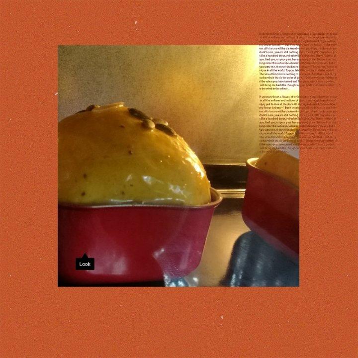 100%中种轻奢侈南瓜吐司