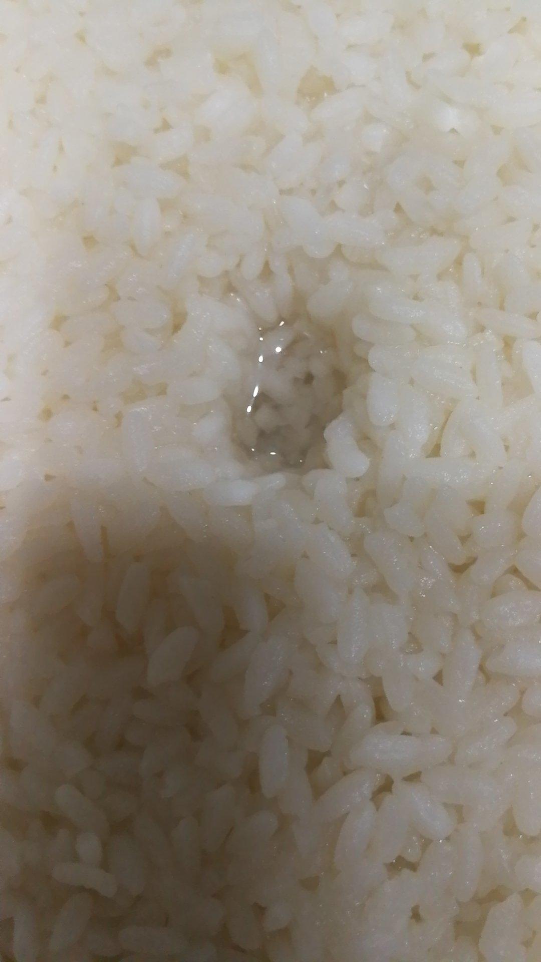 甜酒酿（和黑毛说再见）