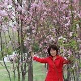 手机用户8681_mshd