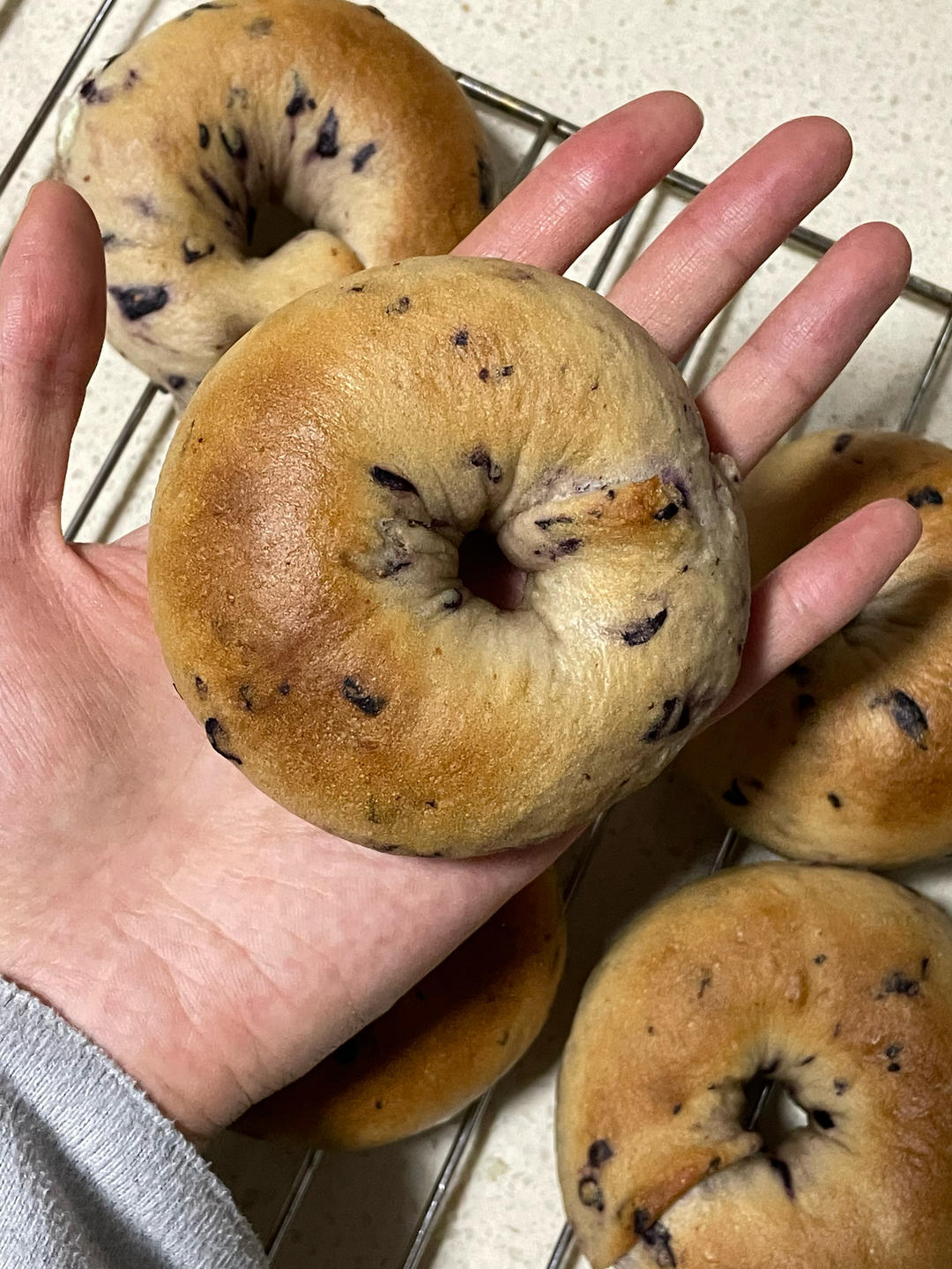 蓝莓🫐乳酪贝果🥯/步骤详细/简单好做