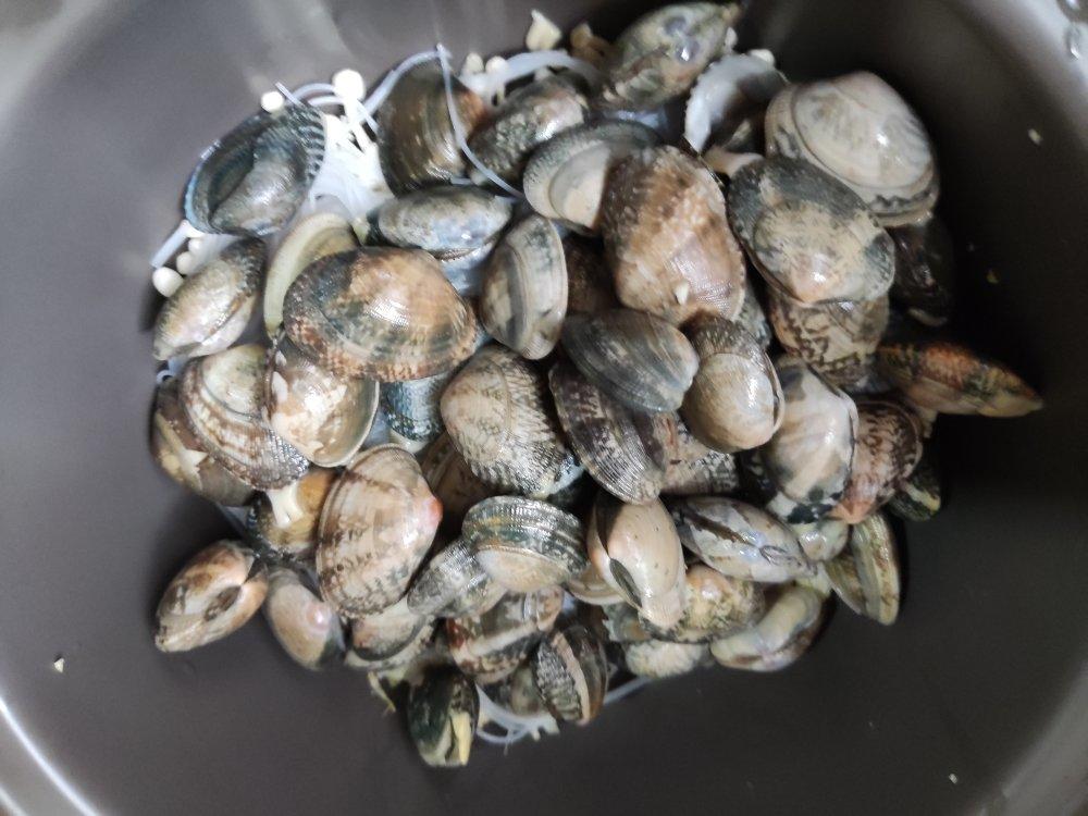 花甲粉丝煲