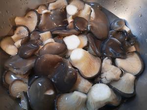 耗油蘑菇🍄🍄鲜嫩的不行的做法 步骤4