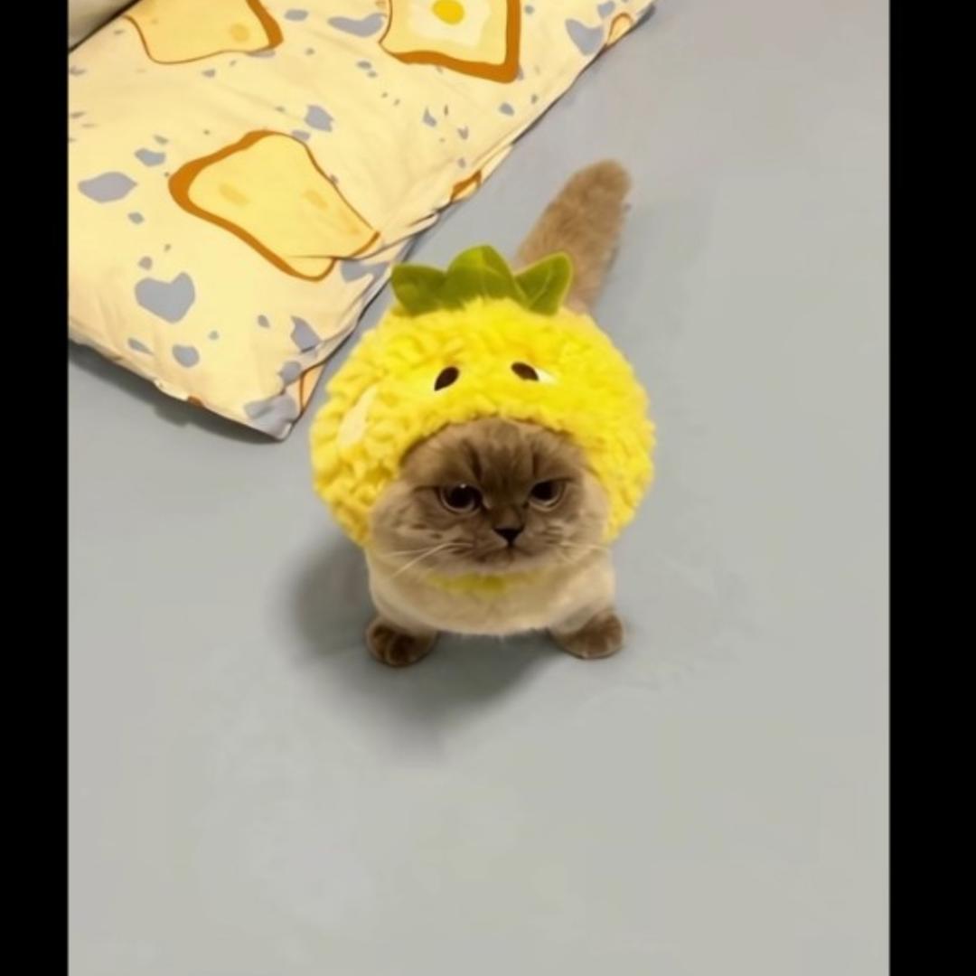 水清青鲭