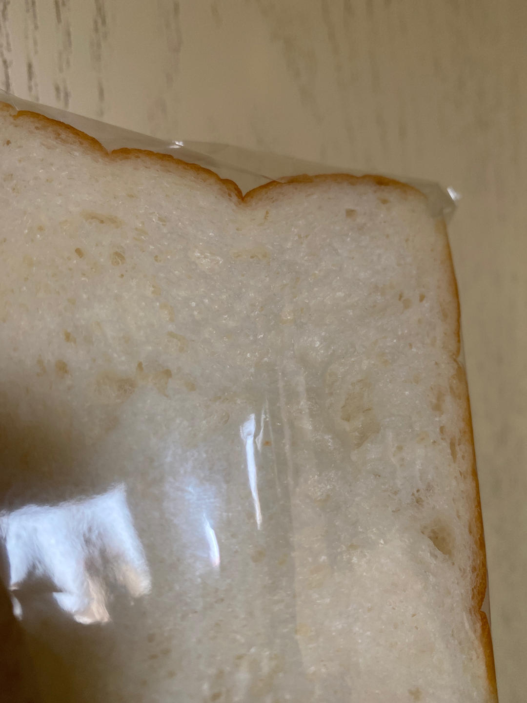 升级对面包的认知！吉沼裕之——烫种生吐司