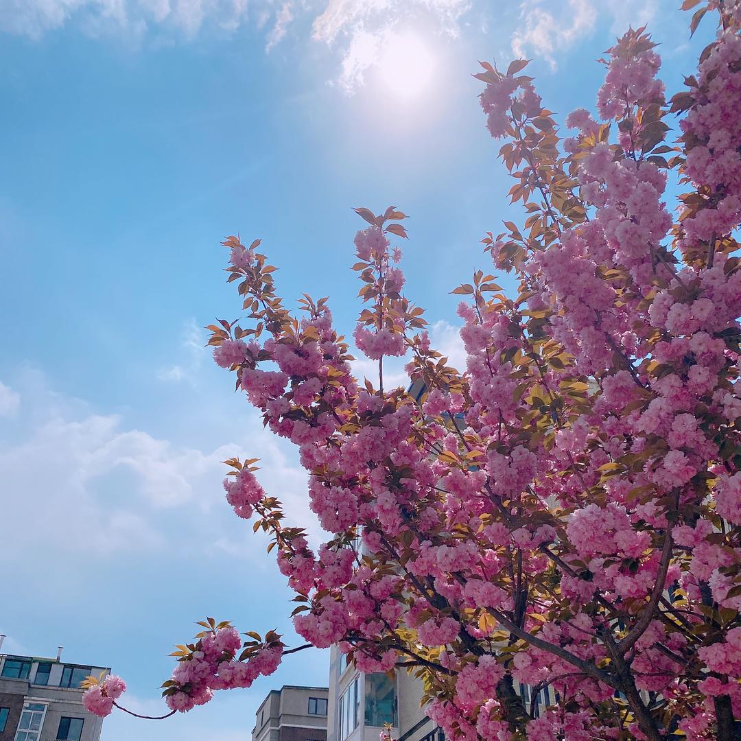 周周努力爱家人