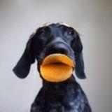 Lattice不嫌弃山頂親故