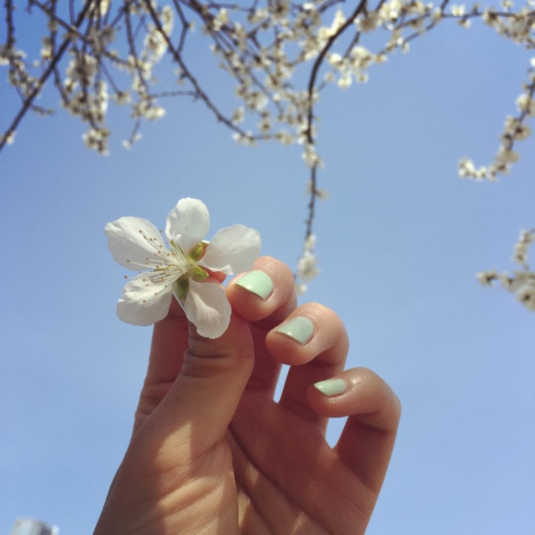 学术汪の小厨房