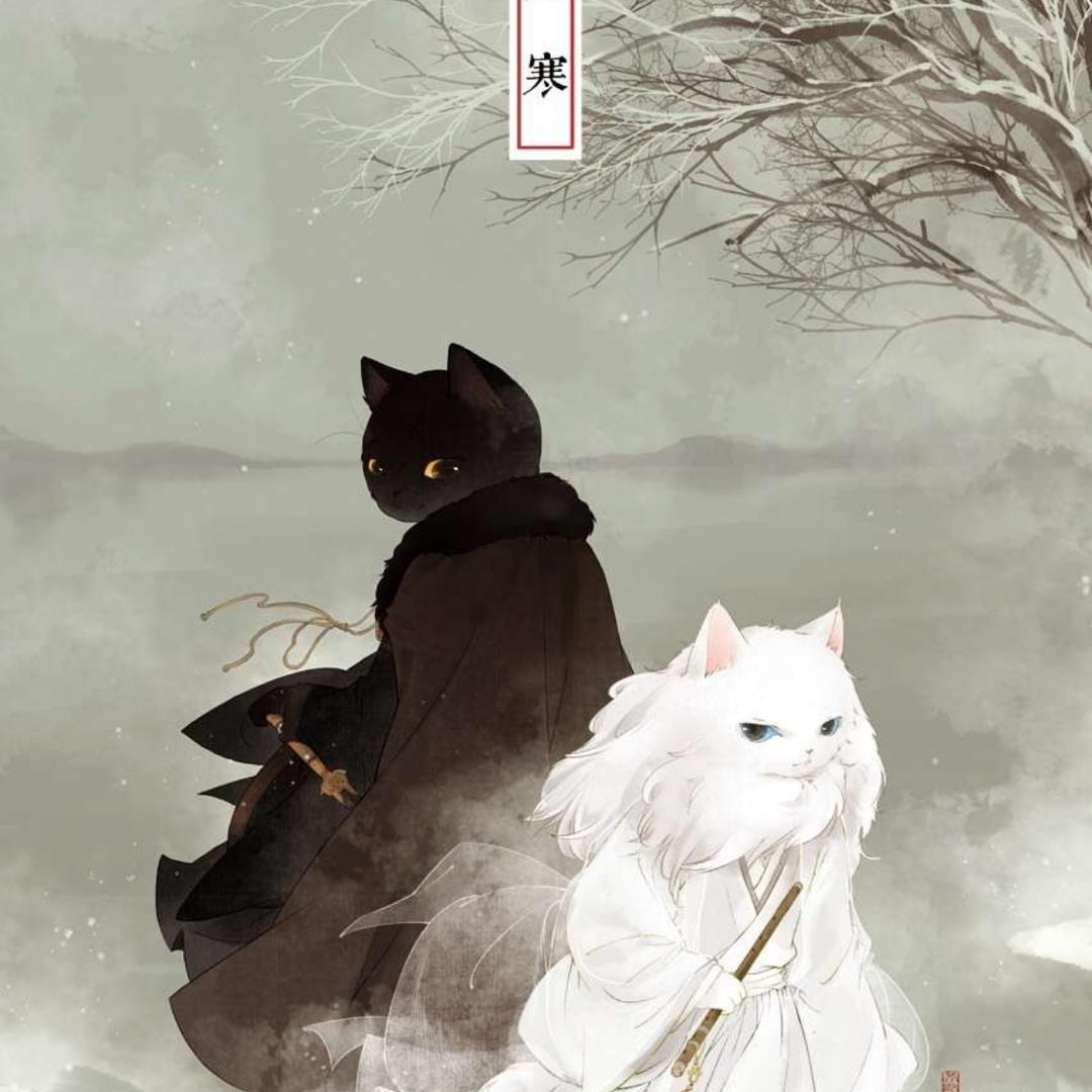上官飞