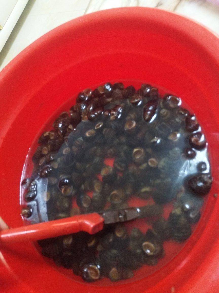 鸭脚（带皮）田螺煲