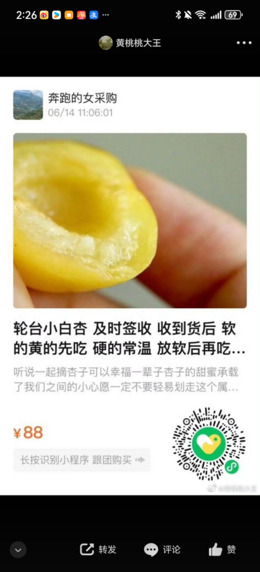 绿色的青葱