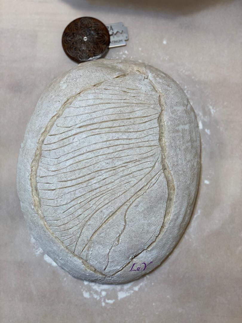 我的欧包割花记录-割包周记