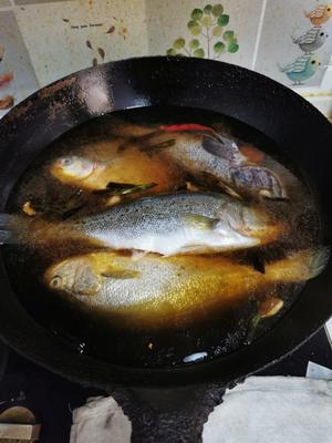 家常炖鱼/炝汤炖鱼的做法 步骤9