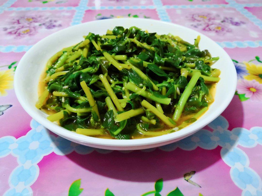 凉拌马马菜（凉拌马齿苋）