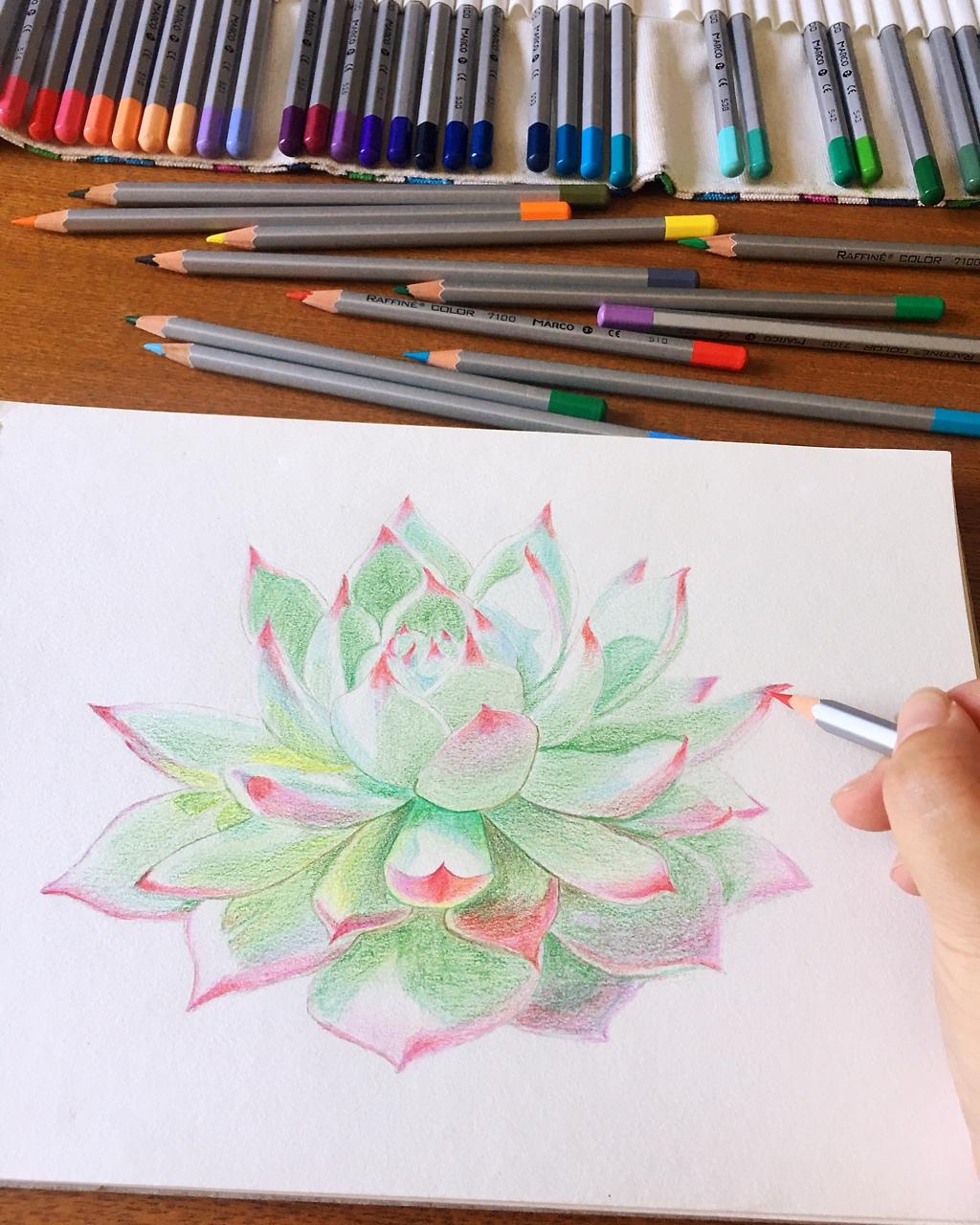 不负时光