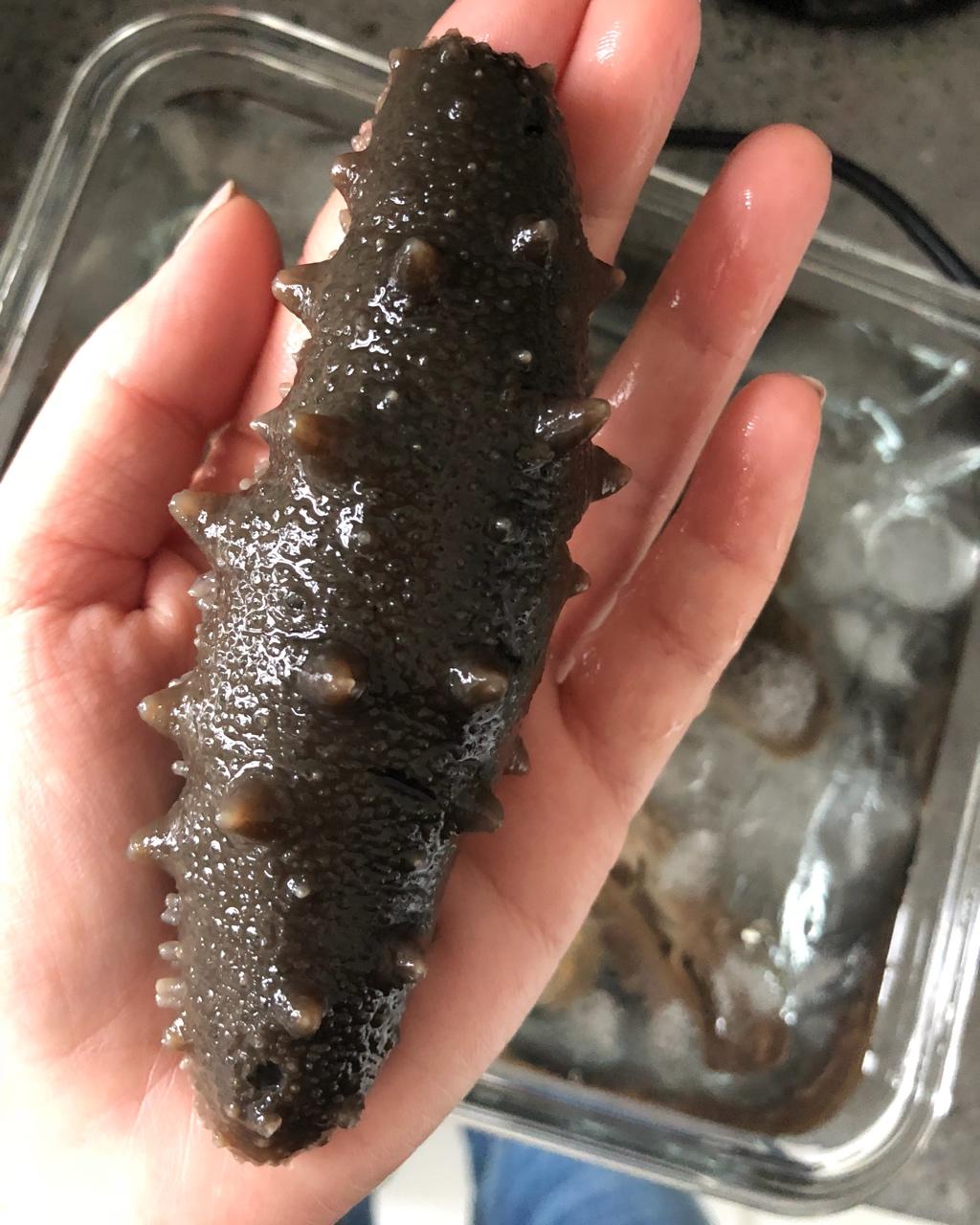 泡发海参的方法