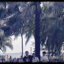 梁浩杰5999