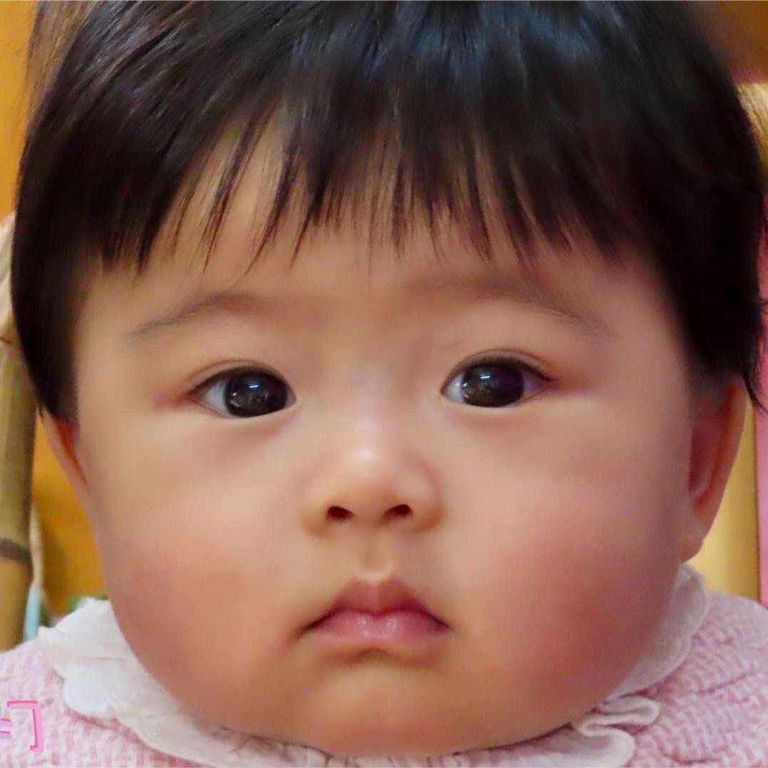 小宝仙