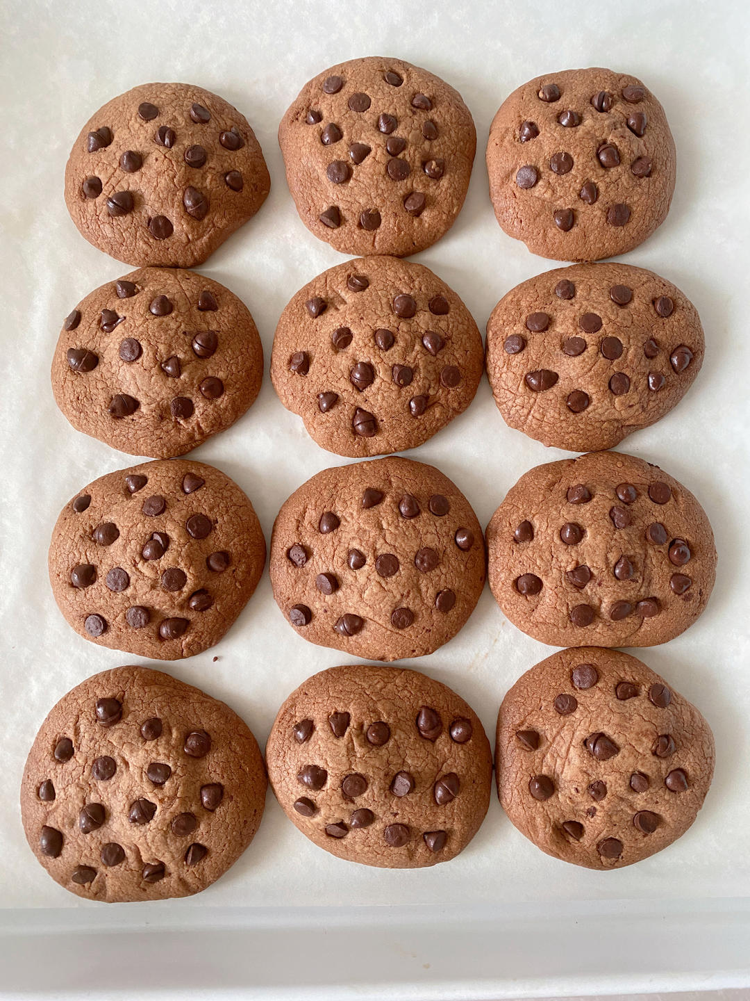 优+杂食