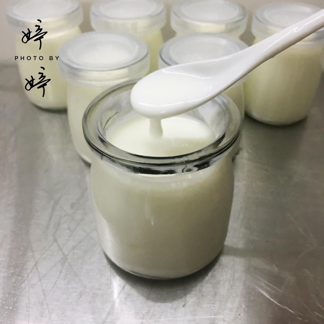 自制酸奶