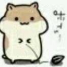 1997_小彭