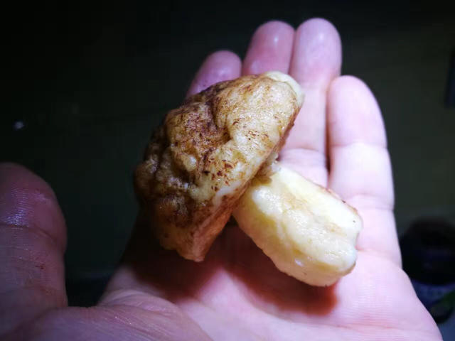 蘑菇包（奶黄馅）