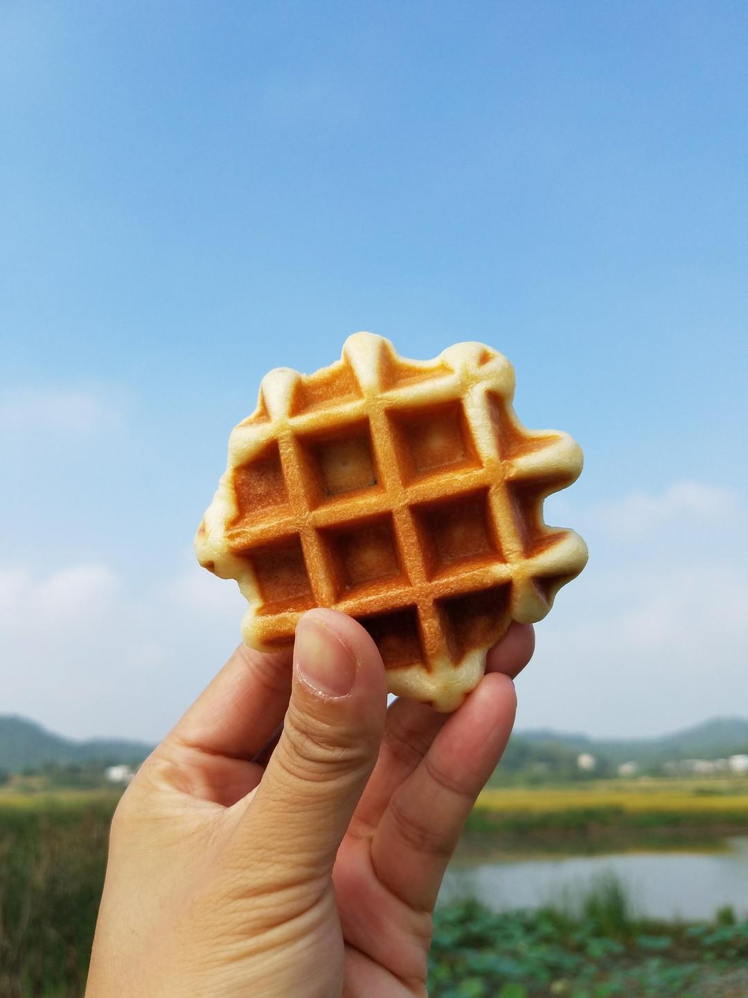 天然酵种华夫饼（消耗酵种）