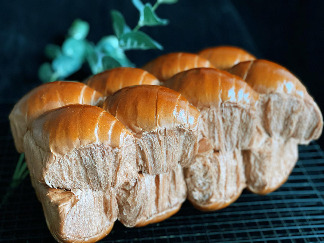 巧克力牛奶面包卷