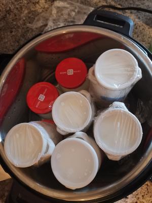 instant pot（高压锅） 16v1做浓稠又低卡的酸奶～（无糖版）的做法 步骤8