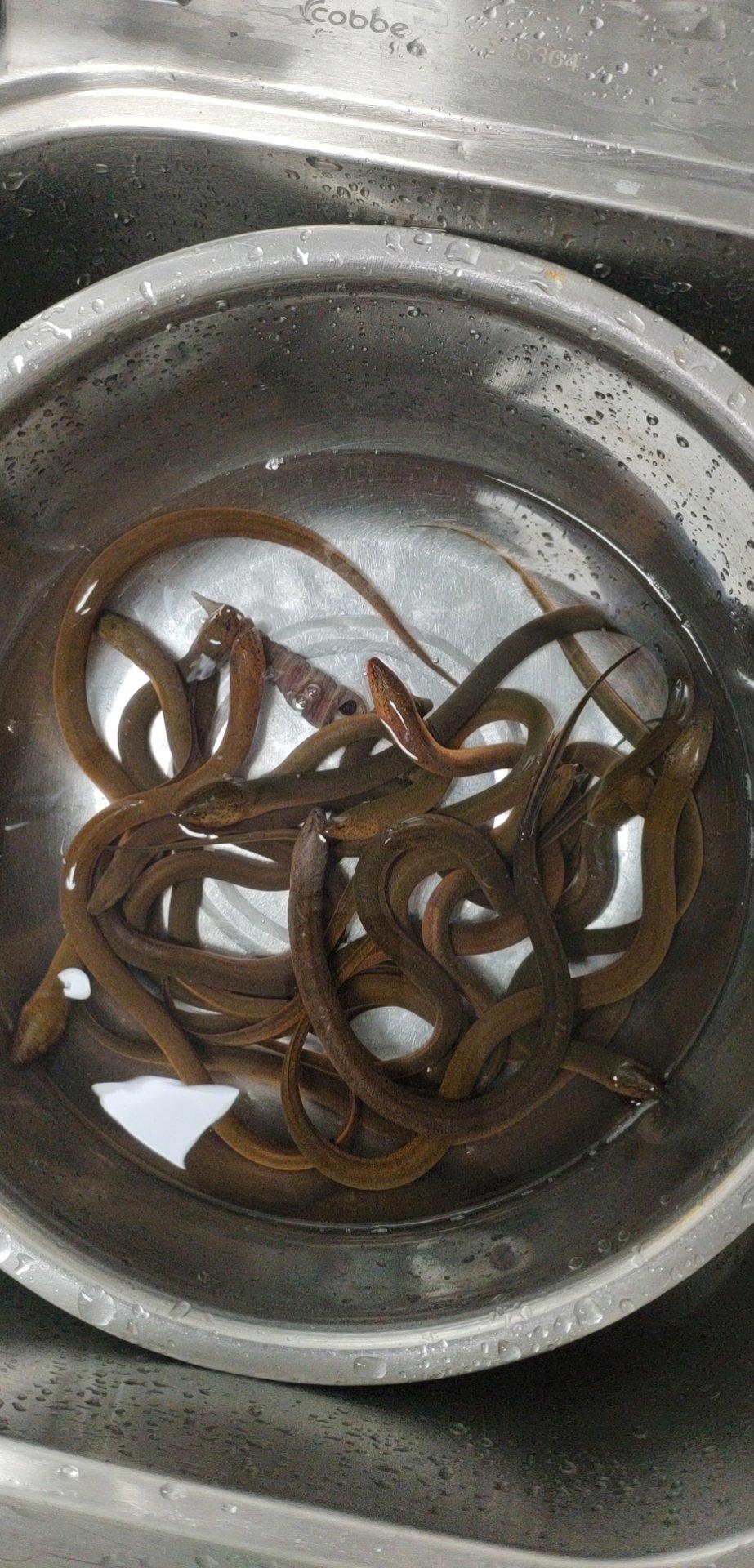 老中医推荐的健脾祛湿方子.老少四季都可以吃