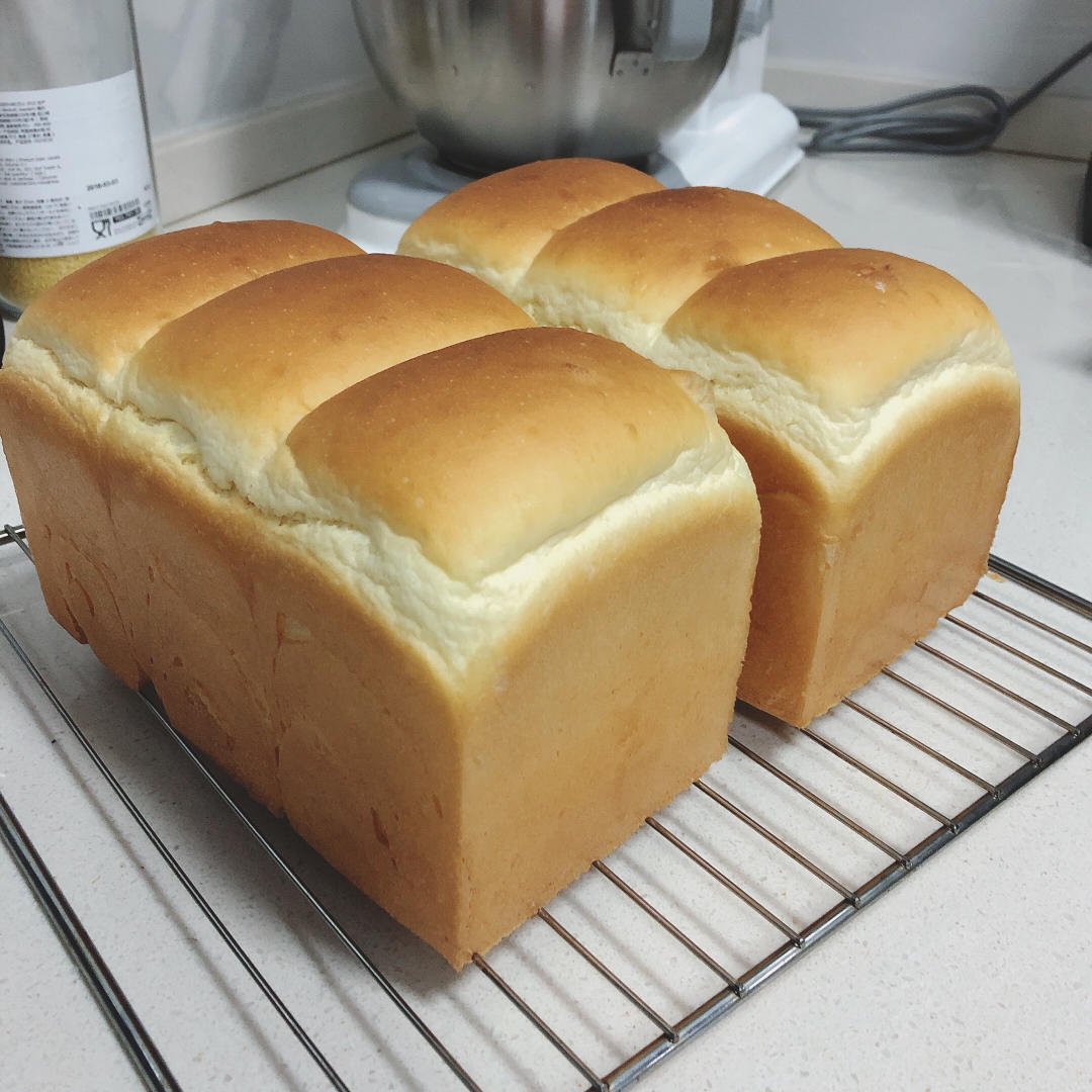 港式吐司～中种