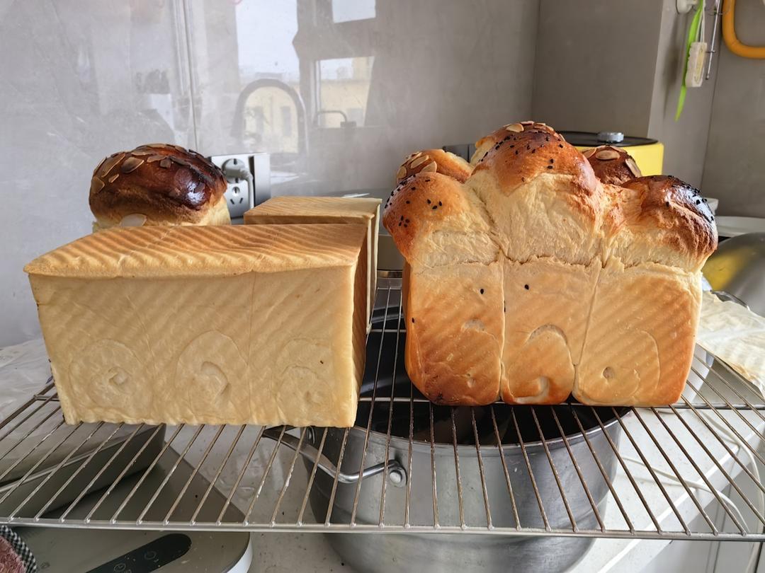 波兰种吐司面包🍞一次发酵